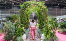iberflora-jardineria