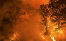 incendios