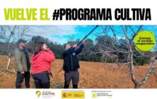 programa-cultiva
