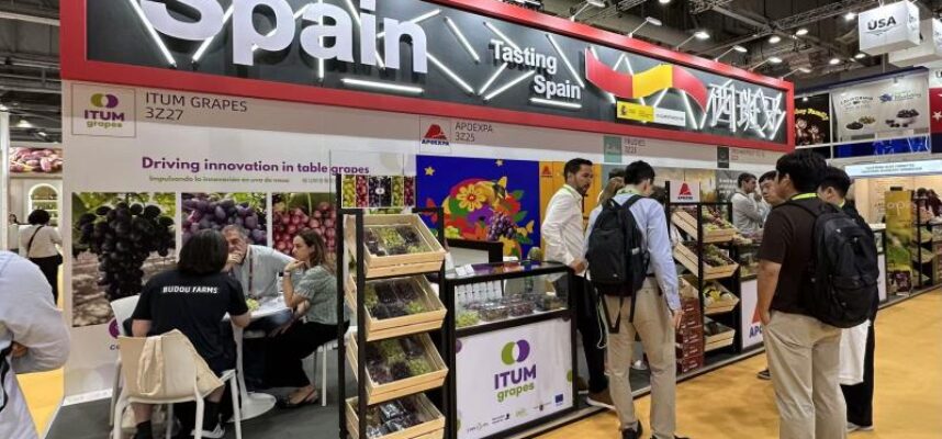 asia-fruit-logistica-2026