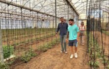 ayudas-jovenes-agricultores