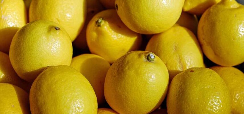 limones-1020x600