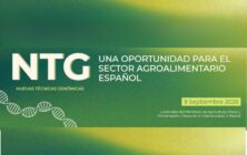 ntg-ministerio