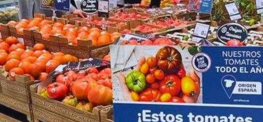 origen-tomates