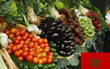 frutas-hortalizas-marruecos