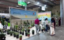 iberflora-2026-1
