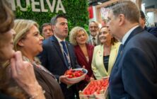 inaugura-fruit-26-2