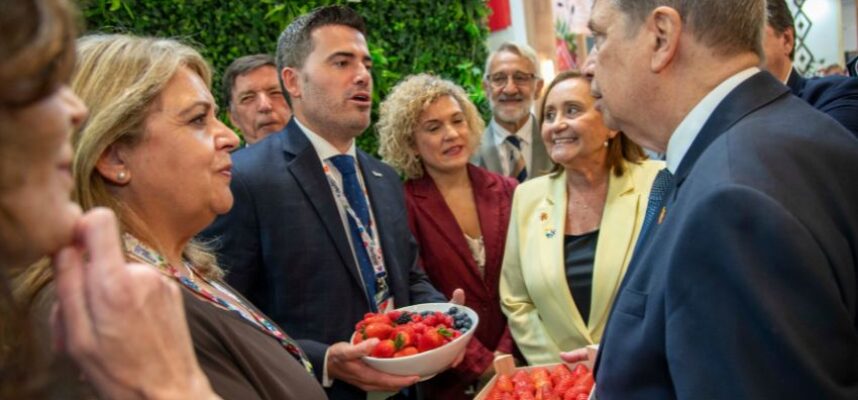 inaugura-fruit-26-2