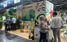 plantaespana-iberflora