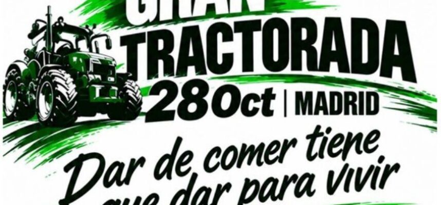 protesta-28-octubre